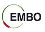 EMBO
